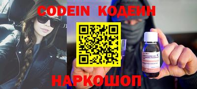 СК Кингисепп