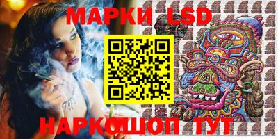 СК Кингисепп