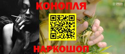 СК Кингисепп