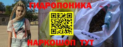 СК Кингисепп