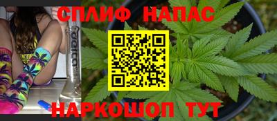 СК Кингисепп