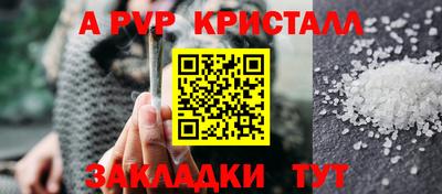 СК Кингисепп