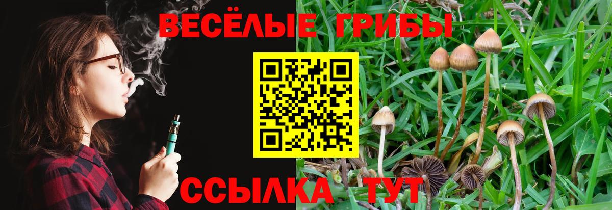 Галлюциногенные грибы GOLDEN TEACHER  Вход с VPN  магазин    Кропоткин 